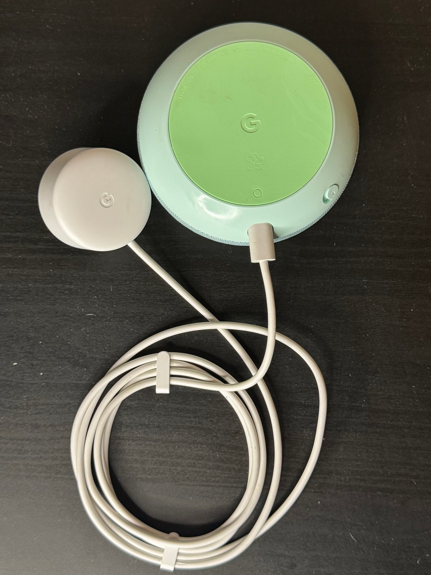 Blue Google Speaker