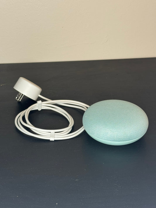 Blue Google Speaker